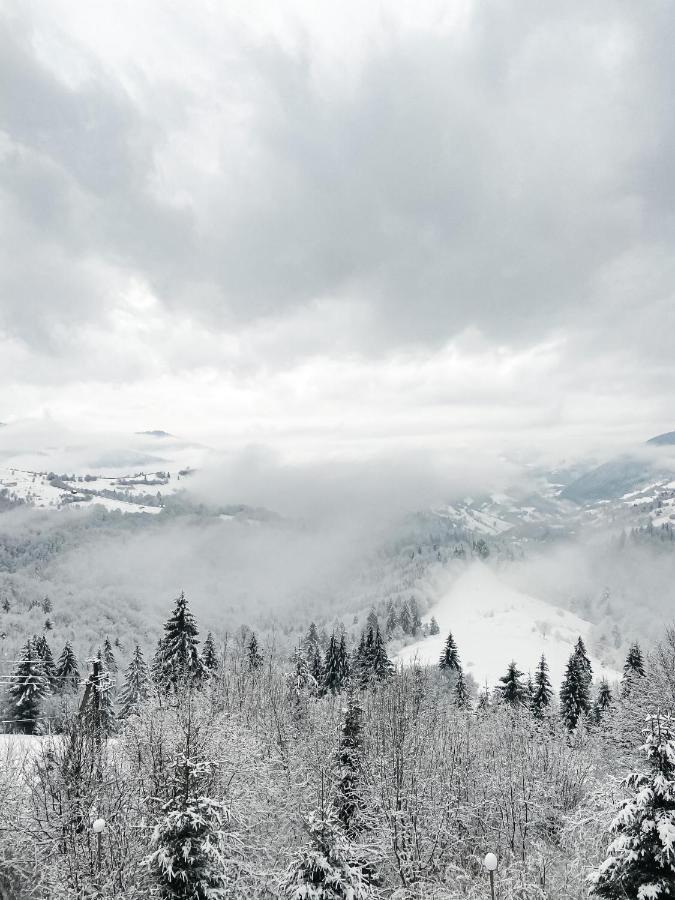 Kamyanka Mizhhirya (Transcarpathia) Exterior foto