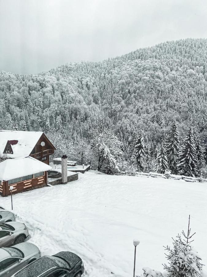 Kamyanka Mizhhirya (Transcarpathia) Exterior foto