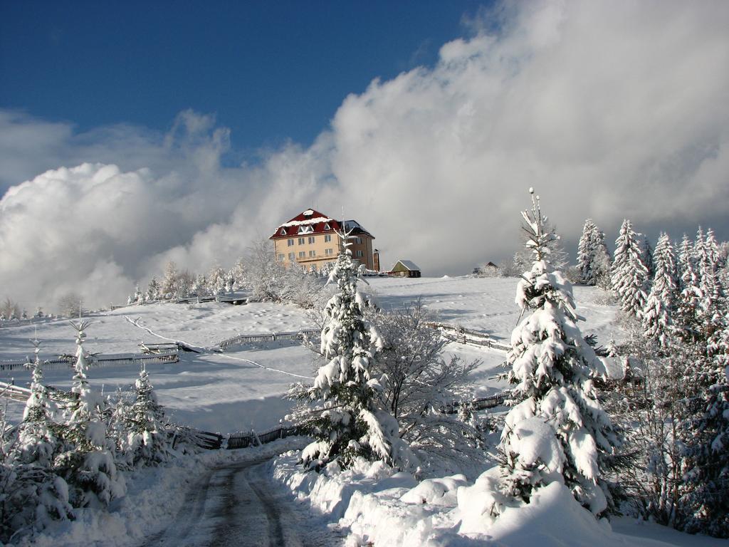 Kamyanka Mizhhirya (Transcarpathia) Exterior foto