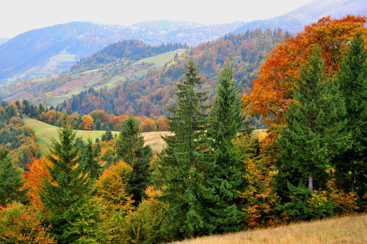 Kamyanka Mizhhirya (Transcarpathia) Exterior foto