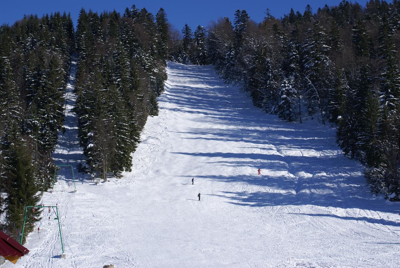 Kamyanka Mizhhirya (Transcarpathia) Exterior foto