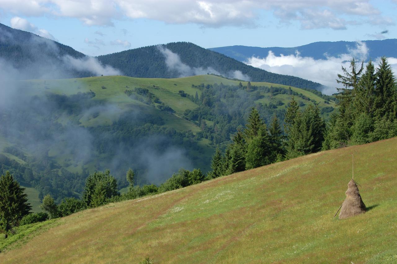 Kamyanka Mizhhirya (Transcarpathia) Exterior foto